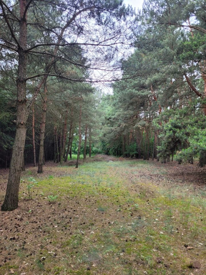 Działka budowlana Kuczki. Zdjęcie 7