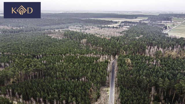 Działka inwestycyjna Dąbrowa Nowa. Zdjęcie 14
