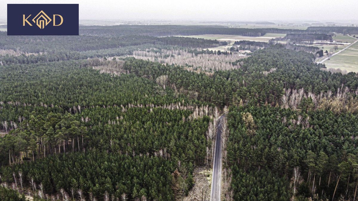 Działka inwestycyjna Dąbrowa Nowa. Zdjęcie 14