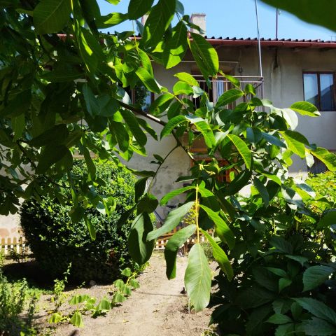 inny, 3 pokoje Wieluń, ul. Częstochowska . Zdjęcie 1