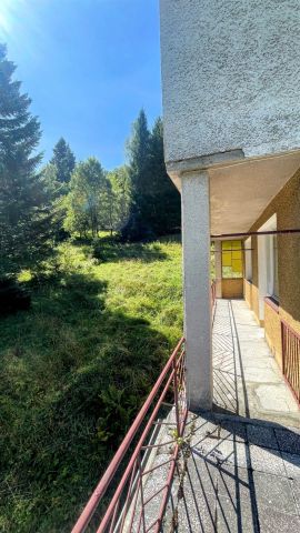 dom wolnostojący, 14 pokoi Krynica-Zdrój, ul. Leśna. Zdjęcie 24