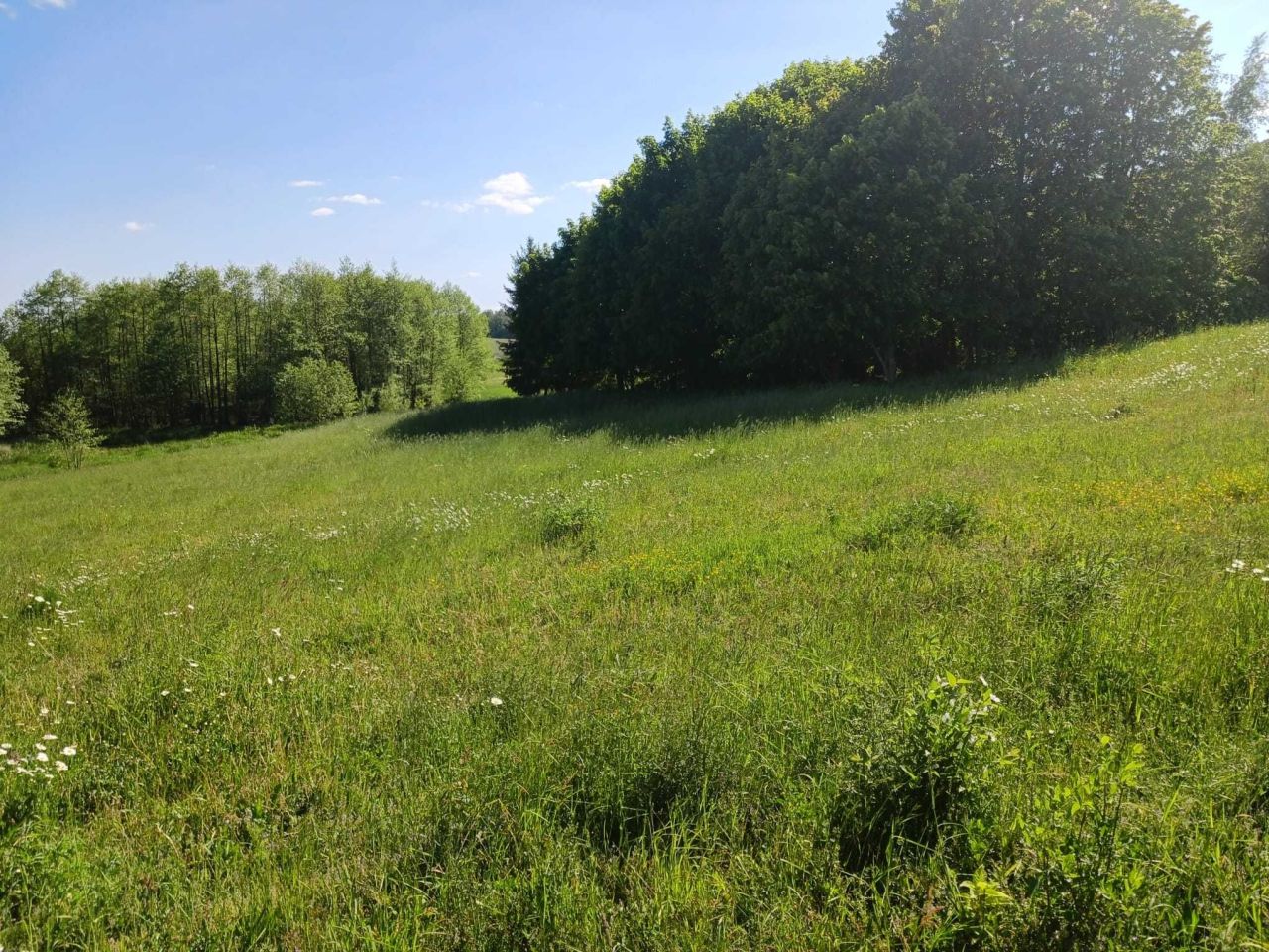 Działka rolna Notyst Mały. Zdjęcie 3