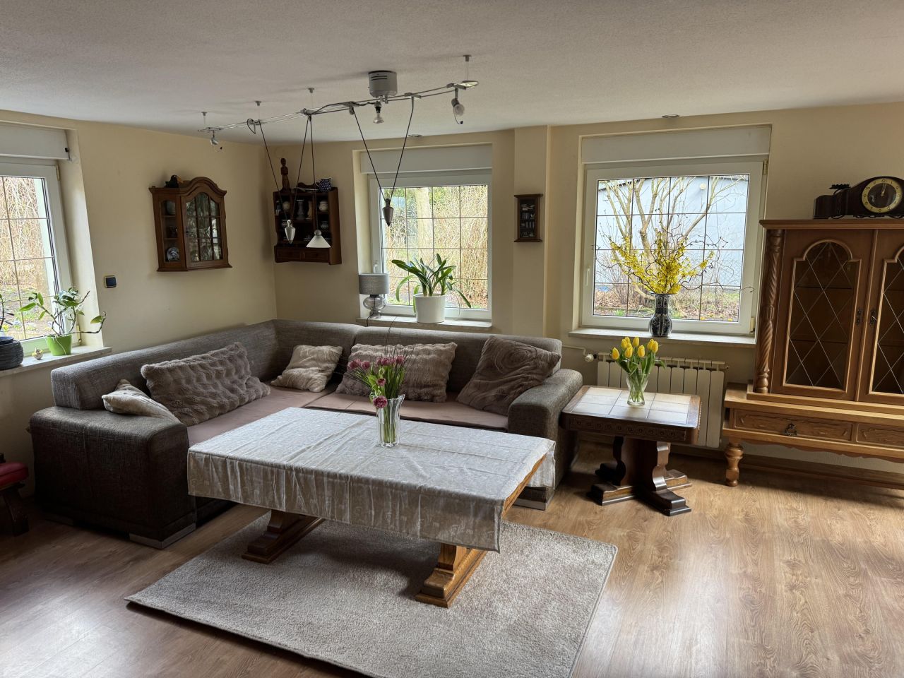 Działka rod Szczodrochowo. Zdjęcie 9