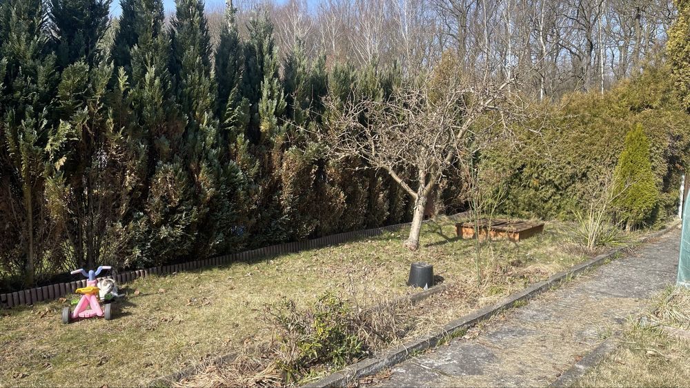 Działka rod Bytom, ul. Samotna. Zdjęcie 2
