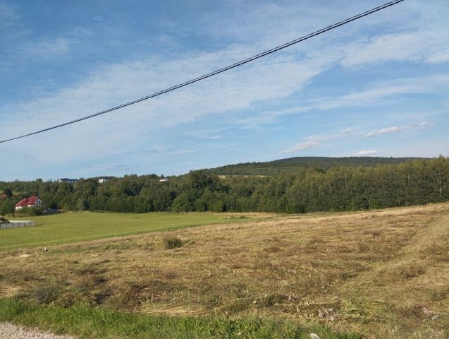 Działka rolno-budowlana Krajno Pierwsze. Zdjęcie 1