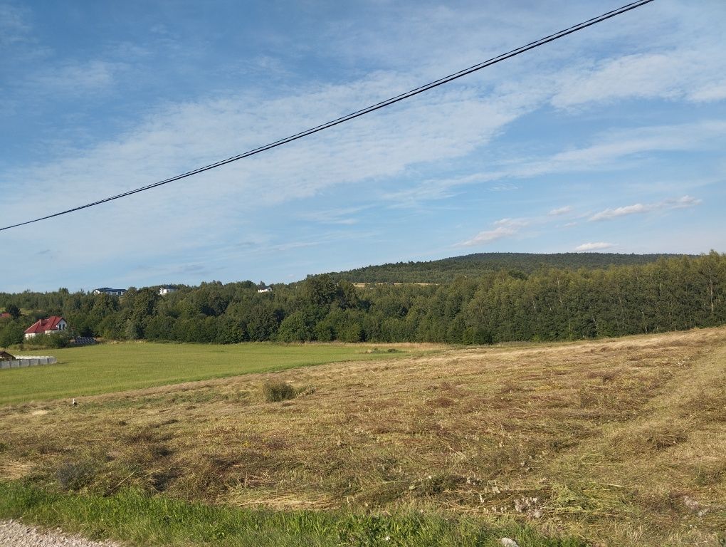 Działka rolno-budowlana Krajno Pierwsze. Zdjęcie 1
