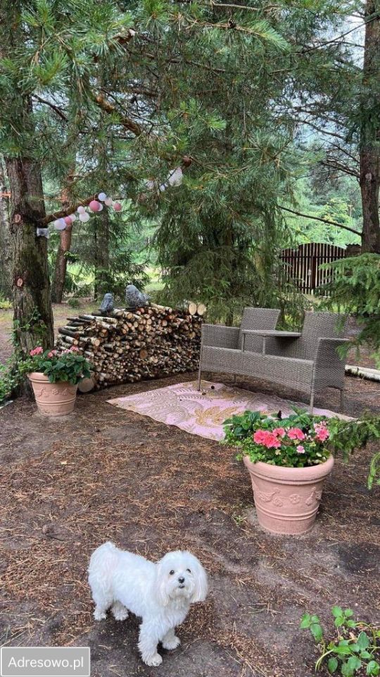 dom letniskowy Brzóze Małe. Zdjęcie 14