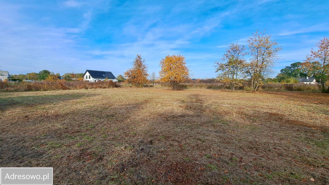 Działka rolno-budowlana Rusiec, ul. Cytrusowa