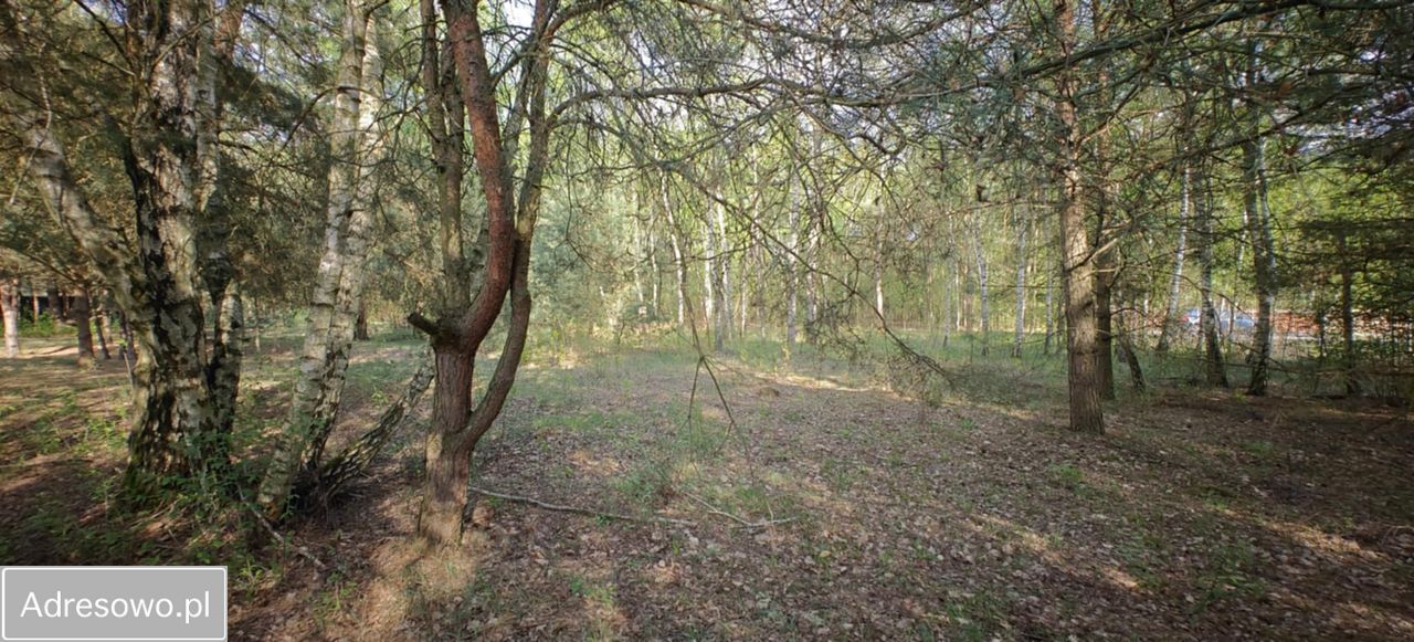 Działka budowlana Goździówka. Zdjęcie 2