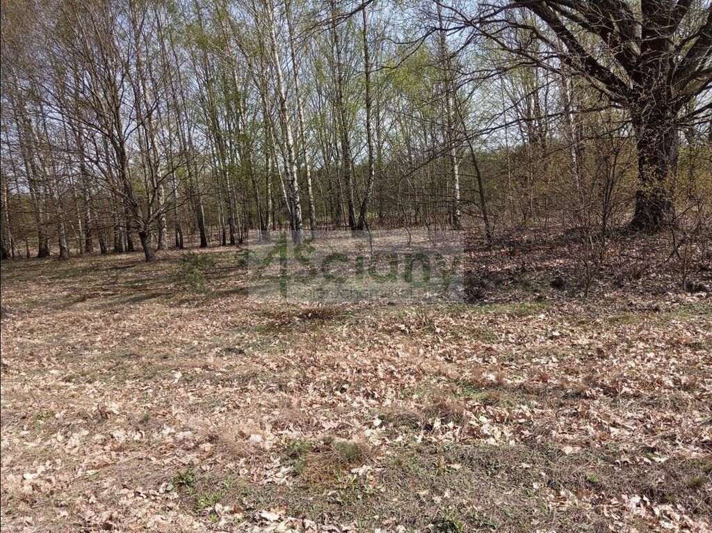 Działka budowlana Jasienica. Zdjęcie 12