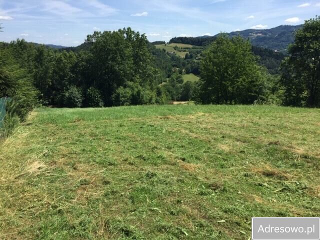 Działka budowlana Młynne. Zdjęcie 4