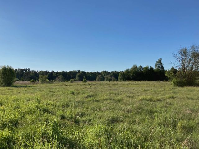 Działka rolna Oleszno, Kozia Wieś. Zdjęcie 1