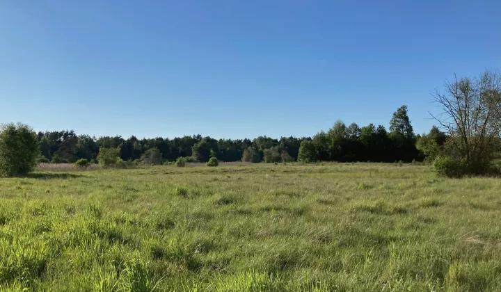 Działka rolna Oleszno, Kozia Wieś