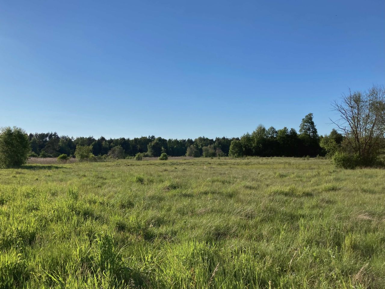 Działka rolna Oleszno, Kozia Wieś. Zdjęcie 1