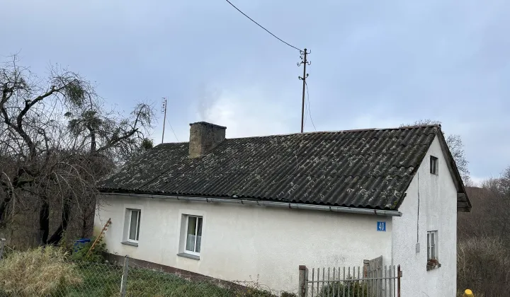 dom wolnostojący, 2 pokoje Strużyna