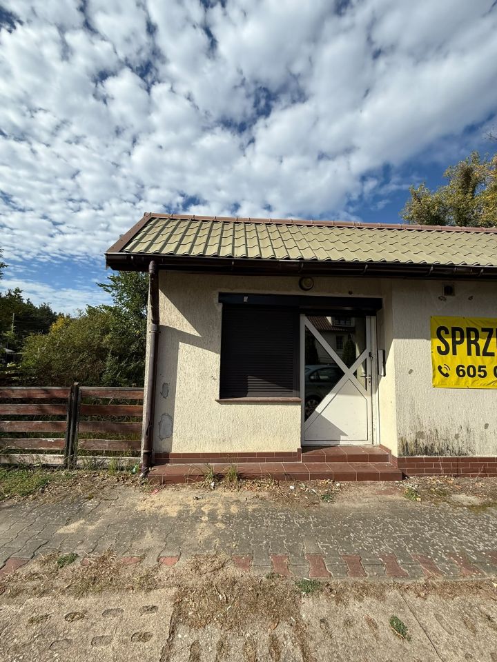 Zdjęcie 3