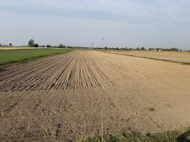 Działka budowlana Nepomucenów, Nepomucenów. Zdjęcie 1