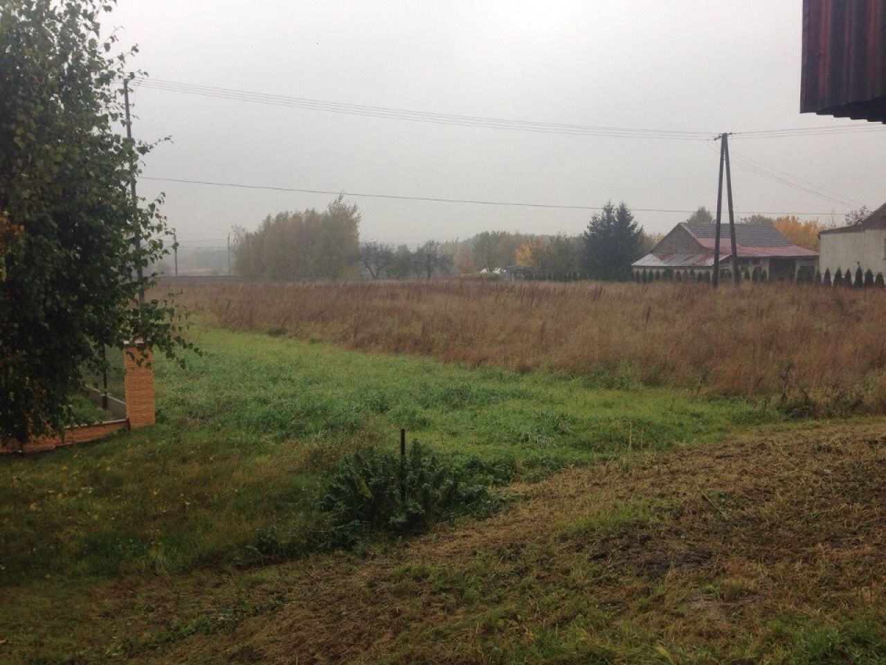 Działka rolno-budowlana Świlcza. Zdjęcie 6