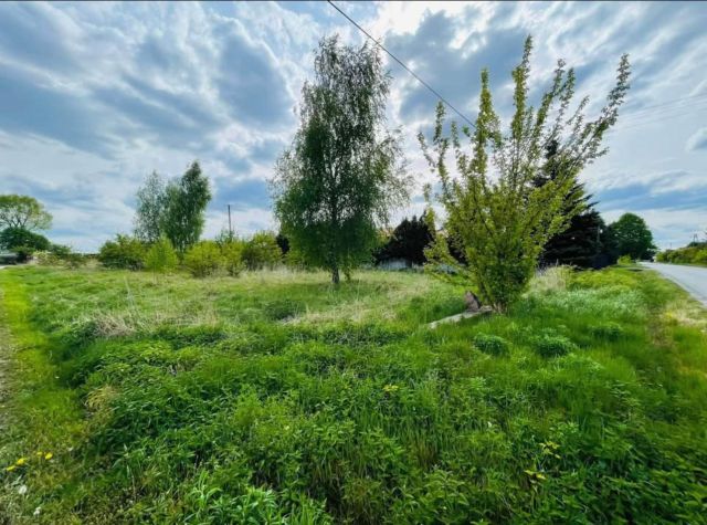 Działka budowlana Witkowice. Zdjęcie 1