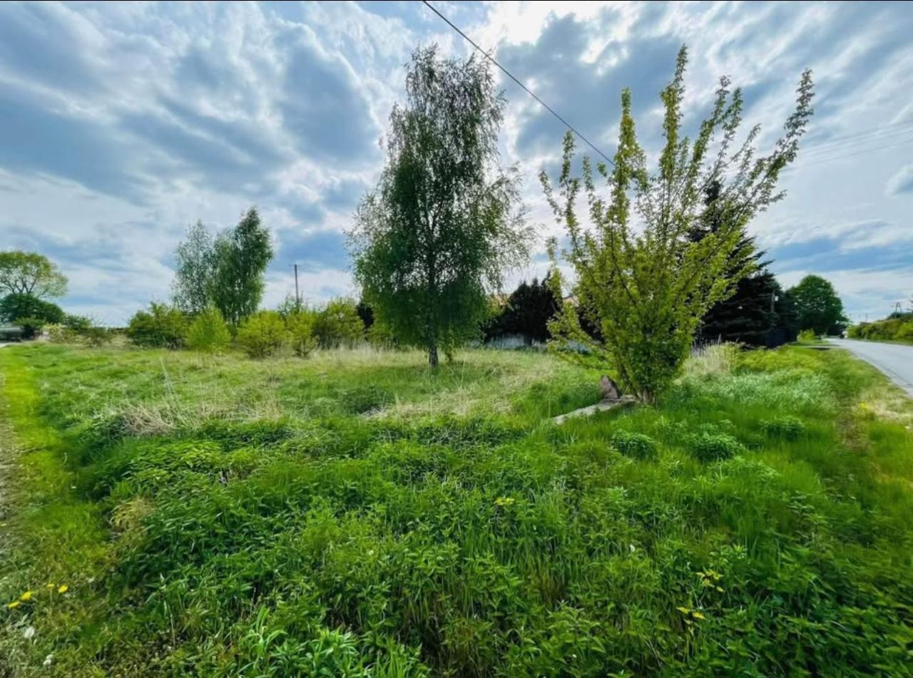 Działka budowlana Witkowice