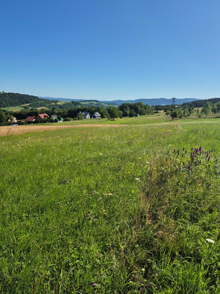 Działka budowlana Grybów Strzylawki. Zdjęcie 3
