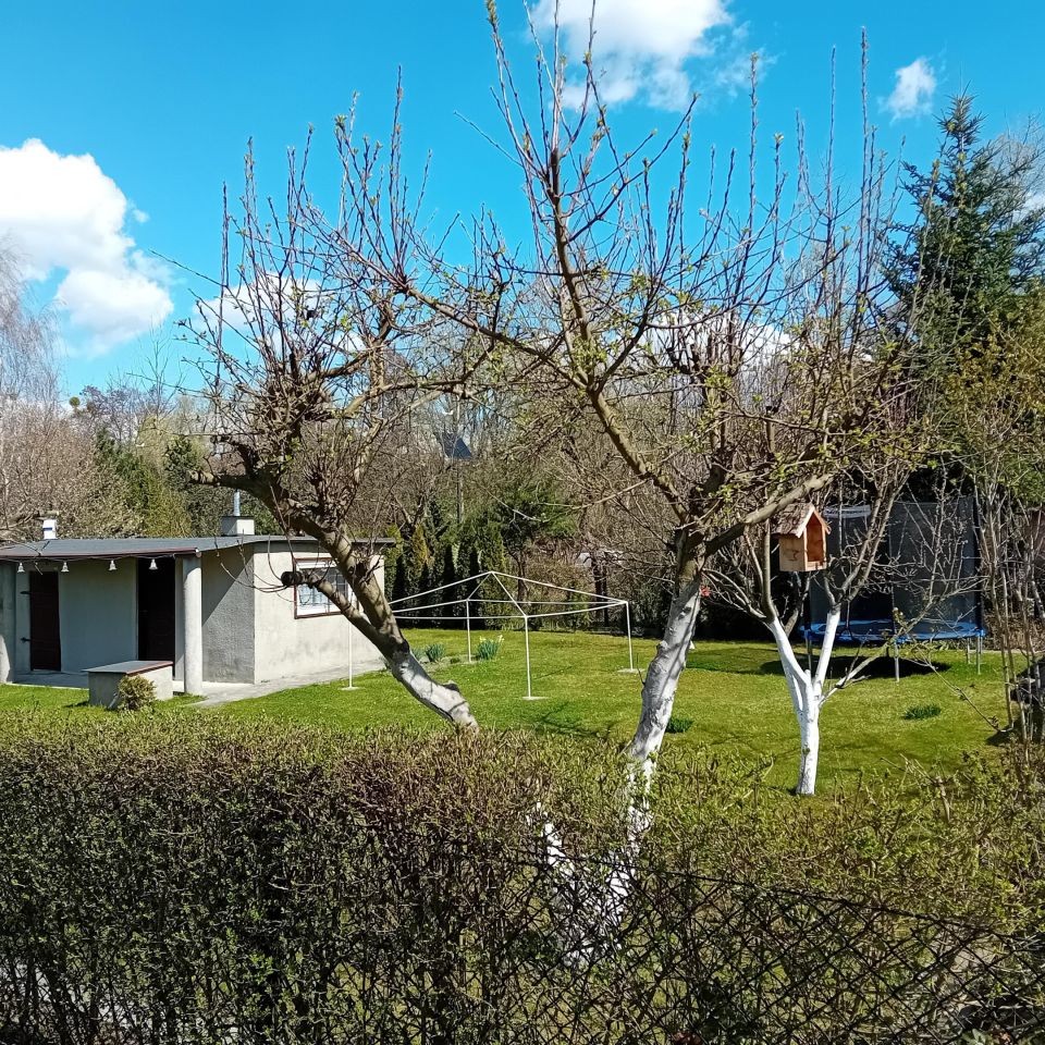 Działka rod Gliwice, ul. Rybnicka. Zdjęcie 12