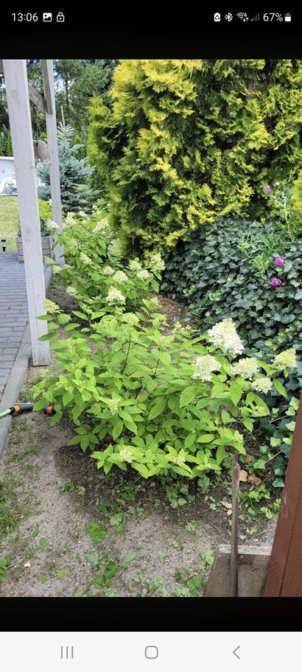Działka rod Poznań Krzesiny. Zdjęcie 5