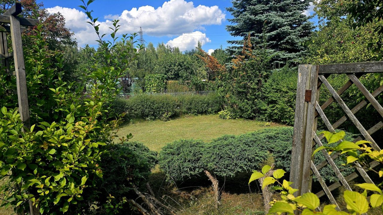 Działka rod Skierniewice. Zdjęcie 4