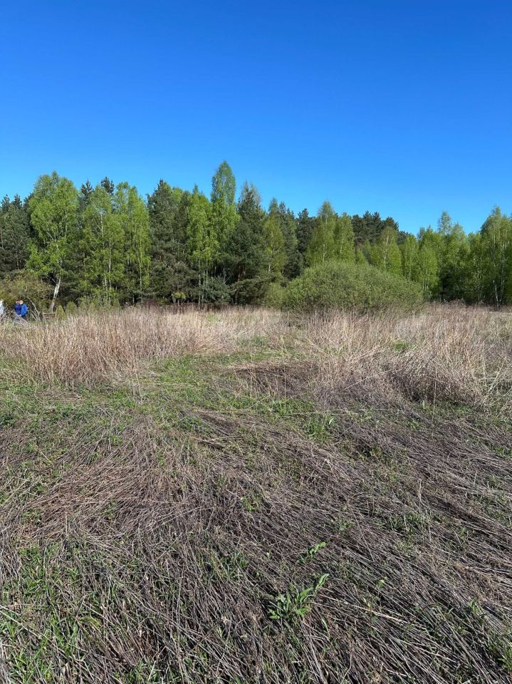 Działka rolno-budowlana Borków. Zdjęcie 6