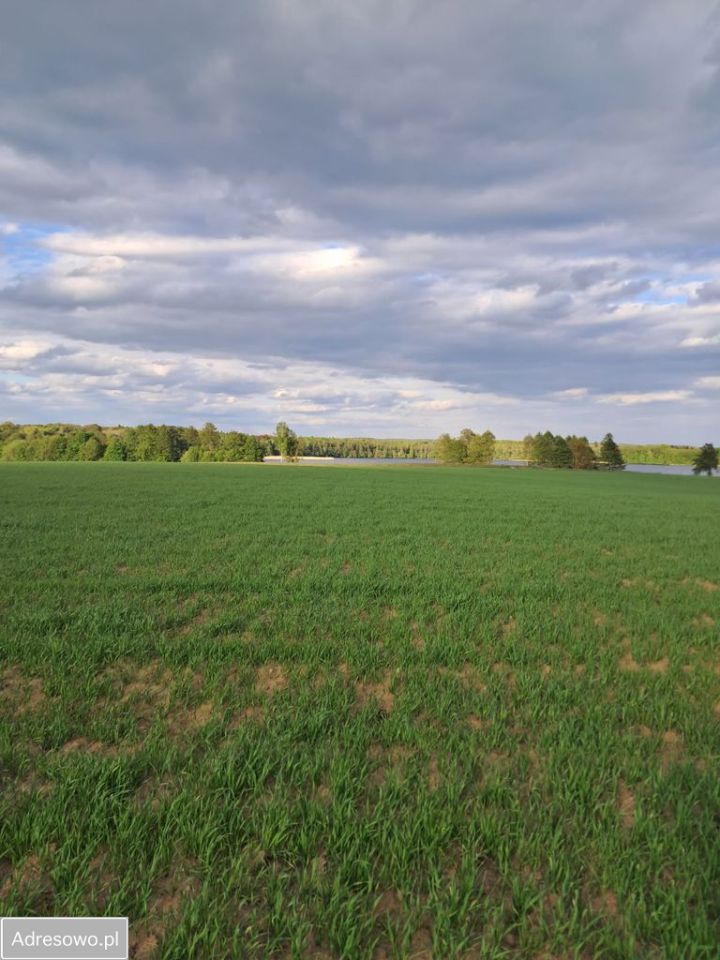 Działka rolno-budowlana Jabłonowo. Zdjęcie 5
