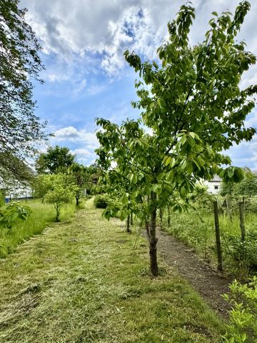 dom wolnostojący, 6 pokoi Jeżowe, Jezowe. Zdjęcie 8