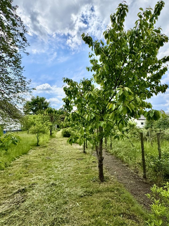 dom wolnostojący, 6 pokoi Jeżowe. Zdjęcie 8