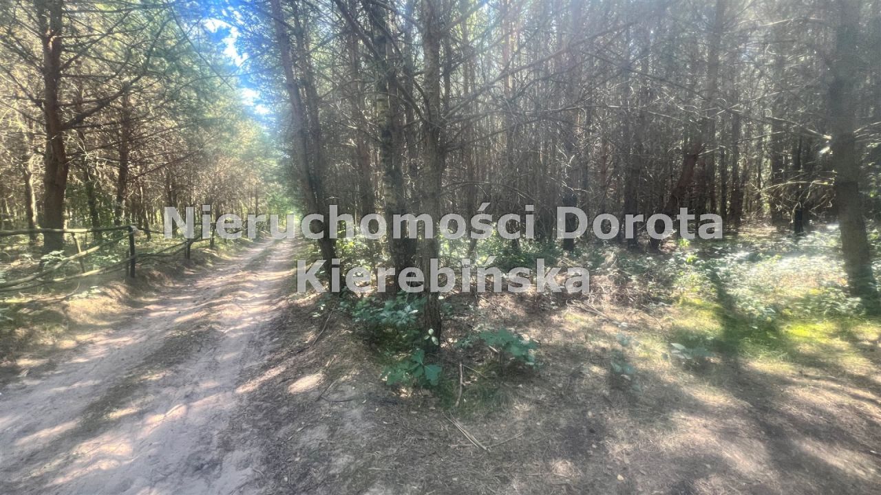 Działka rolna Wale. Zdjęcie 4