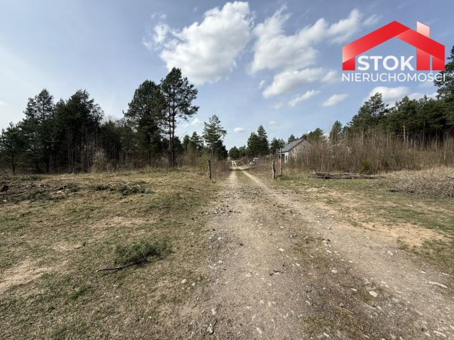 Działka budowlana Ciasne. Zdjęcie 1