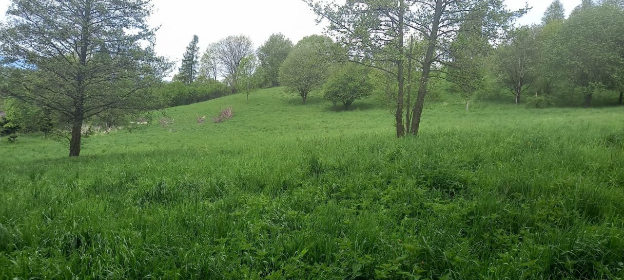Działka budowlana Jaszkowa Górna. Zdjęcie 5