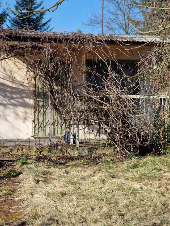 Działka rod Bytom. Zdjęcie 1