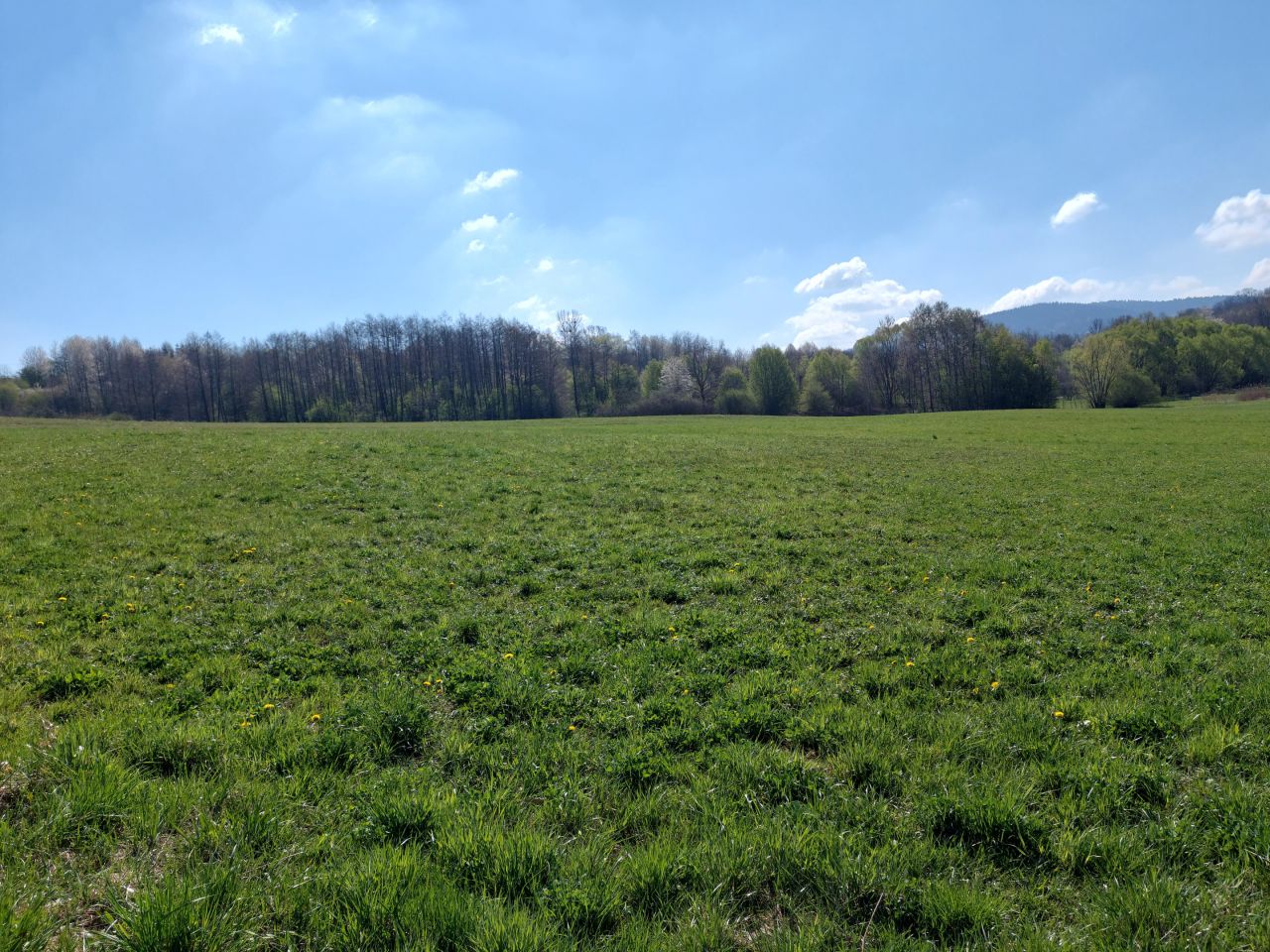 Działka rolno-budowlana Szalowa Bochnia. Zdjęcie 14