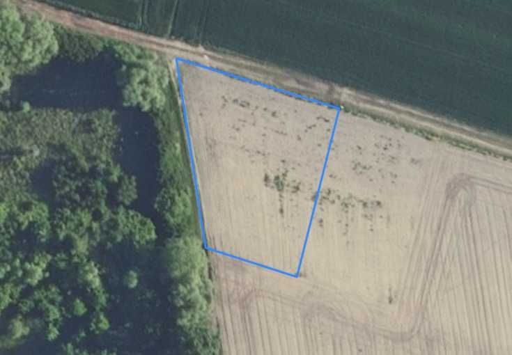 Działka budowlana Waliszewo. Zdjęcie 2