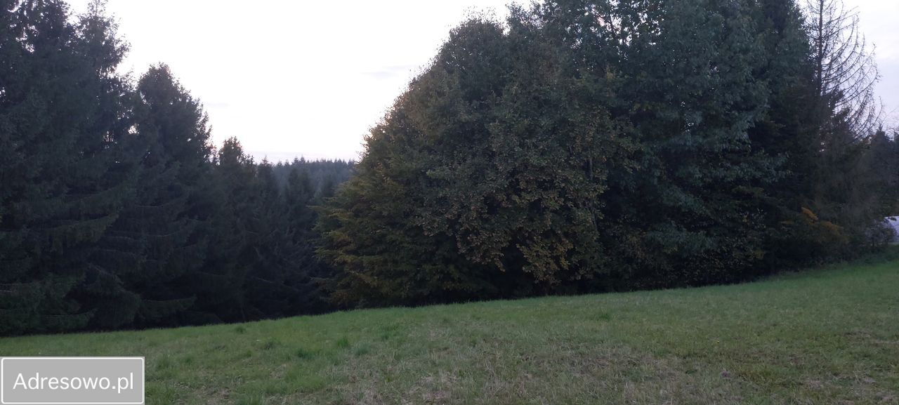 Działka budowlana Turze Pole. Zdjęcie 3