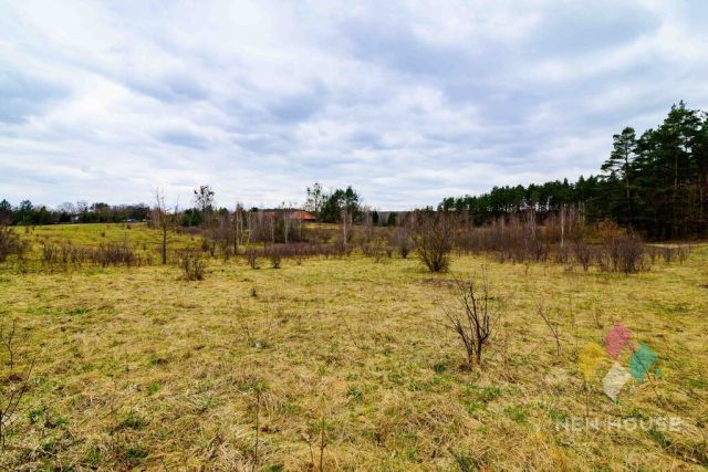 Działka budowlana Zalbki. Zdjęcie 5