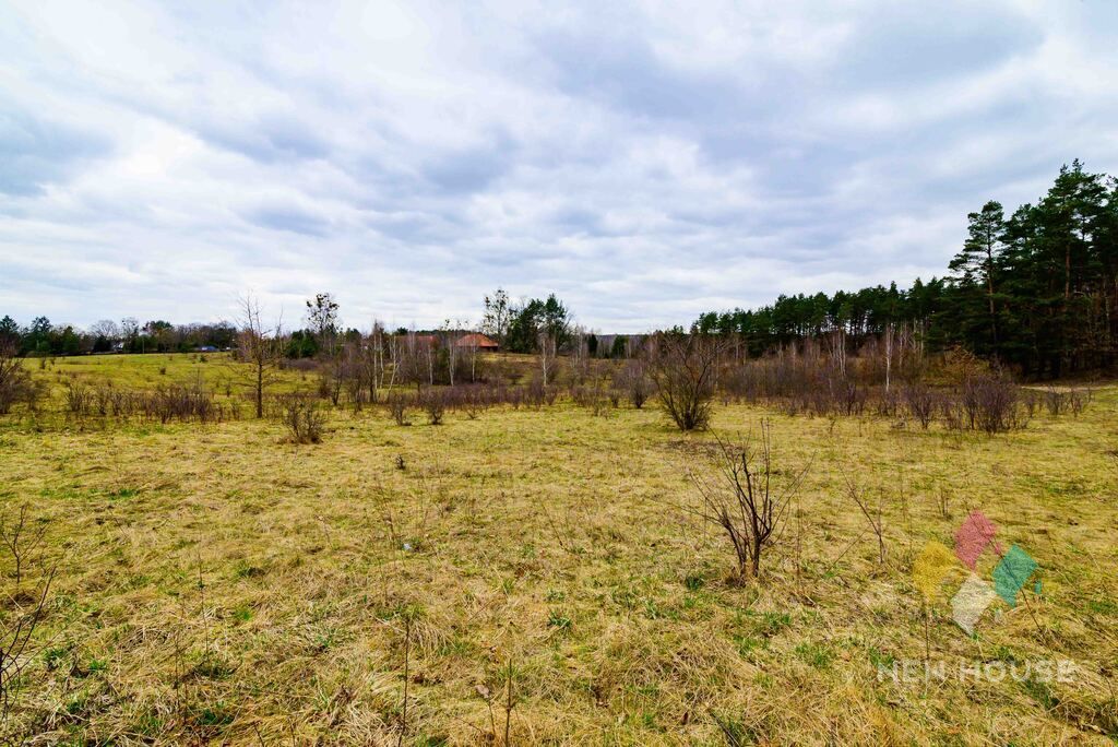 Działka budowlana Zalbki. Zdjęcie 5