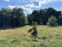 Działka inwestycyjna Wysowa-Zdrój. Zdjęcie 2