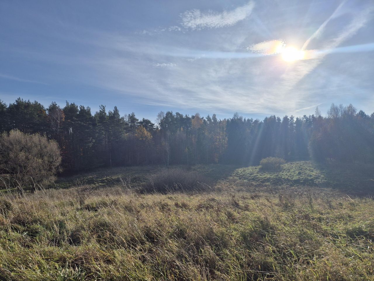 Działka budowlana Pomlewo, ul. Sosnowa. Zdjęcie 3