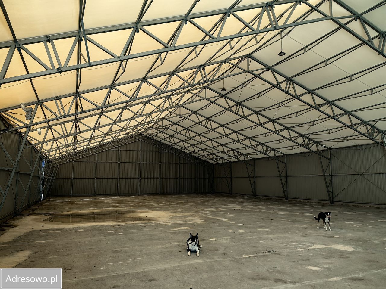 Działka inwestycyjna Koczargi Nowe, ul. Wiosenna. Zdjęcie 3