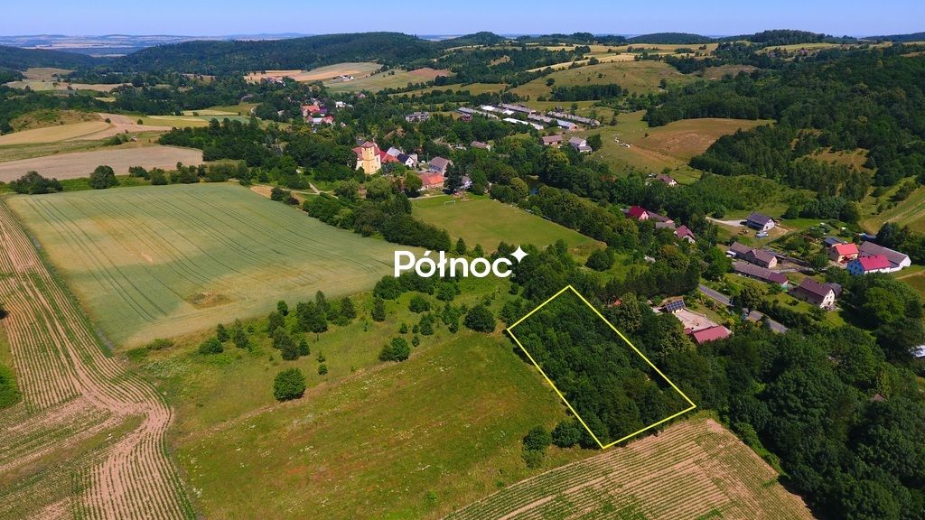 Działka rolna Laski. Zdjęcie 2