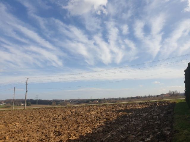 Działka budowlana Rudzica. Zdjęcie 1