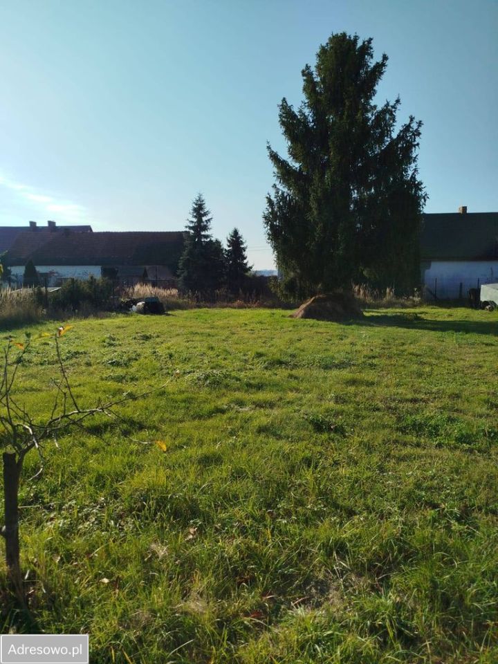 Działka budowlana Kotowice, ul. Główna. Zdjęcie 6