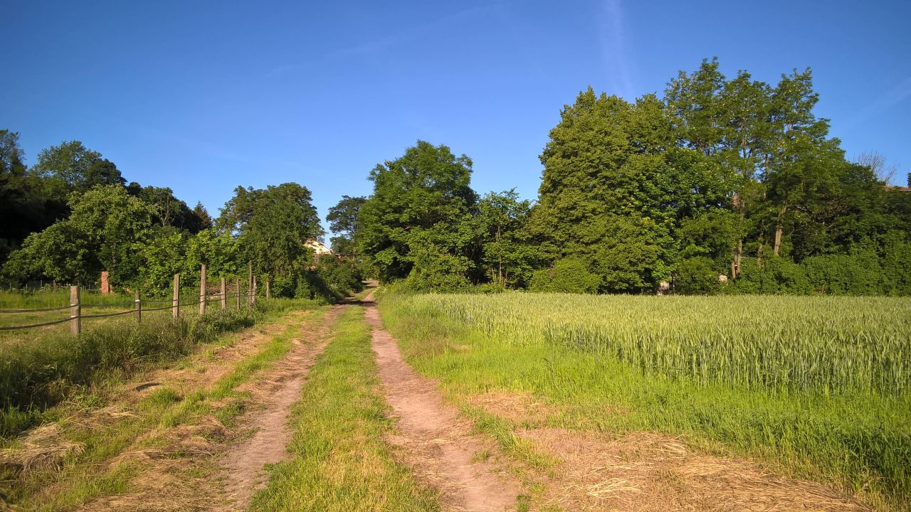 bliźniak, 3 pokoje Sulimierz. Zdjęcie 16