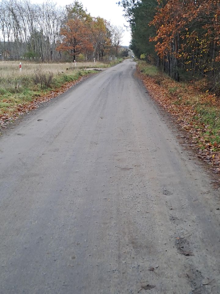 Działka rolno-budowlana Skwierzyna, ul. Bukowa. Zdjęcie 4