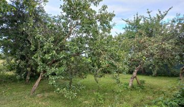 bliźniak, 2 pokoje Marwałd